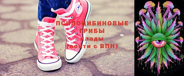 первитин Лиски